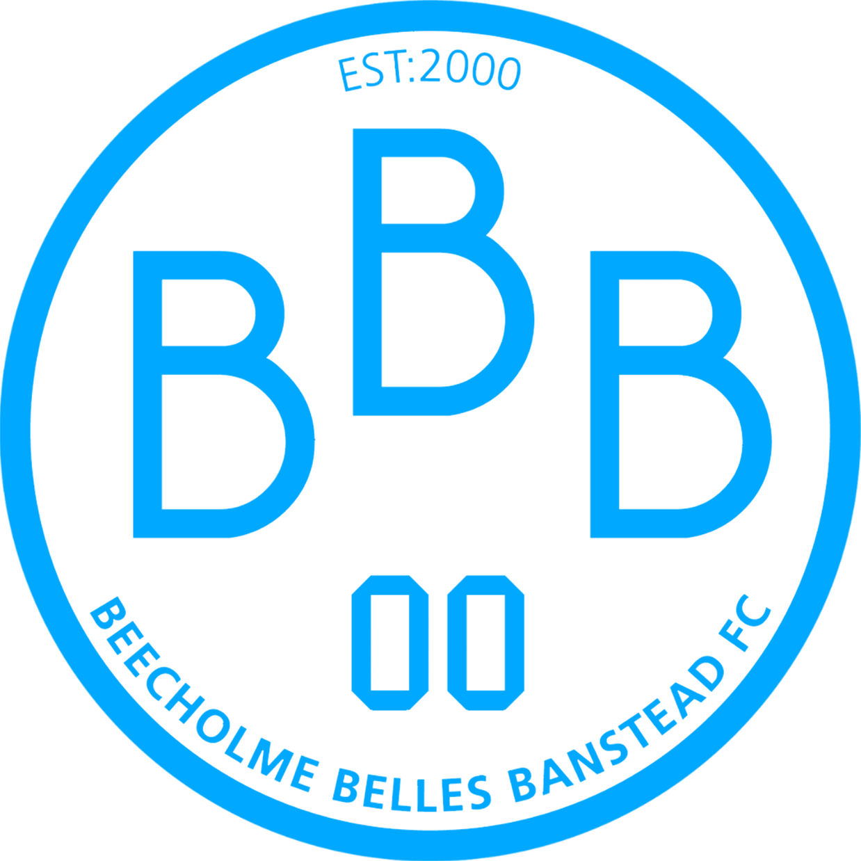 Logo colour adaptation — Blue